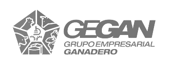 GEGAN